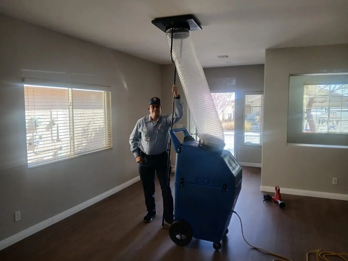 Professional Dryer Vent Cleaning work inside a Rosemont home